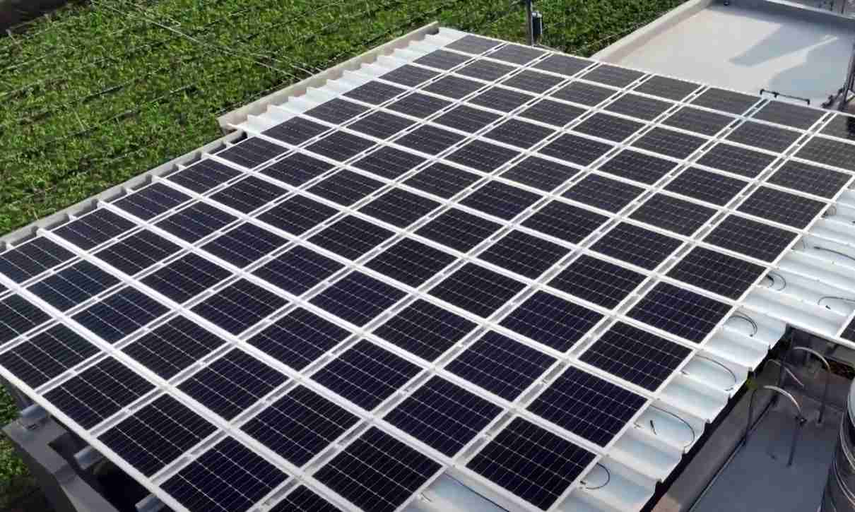 传奇国际SunSteel光电浪板升级双玻结构，，，以提升机械负载强度及气候耐候度，，，可广泛运用于多元场域